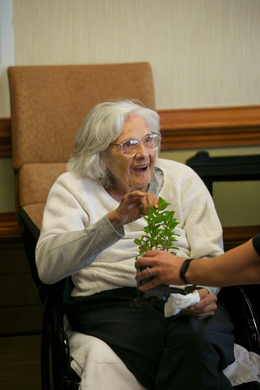Elderly woman sitting in a chair holding a plant, with another person's hand visible.