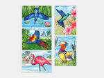 The Relish aquapaint Magnificent birds designs set of 5, reusable, and mess-free water activating painting.