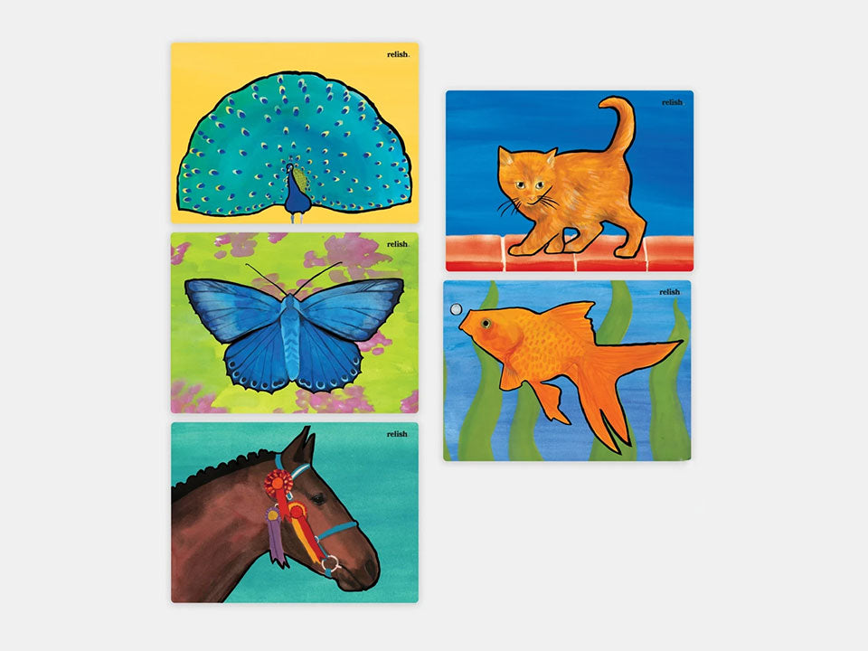 The Relish aquapaint Wonderful Animals set of 5 water activated activity designed for people living with dementia.