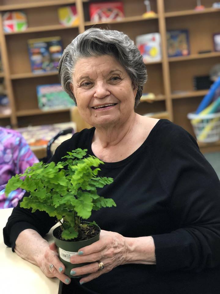 Woman holding a potted plant in a classroom setting