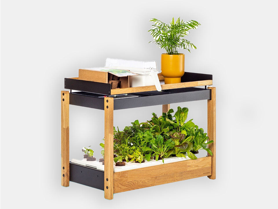 An indoor compact garden system featuring a wooden frame with black accents, equipped with a hydroponic growth bed and various plants either in pots or yet to sprout from the soil.

