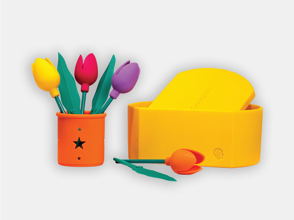 Ensemble de dextérité et de stimulation cognitive