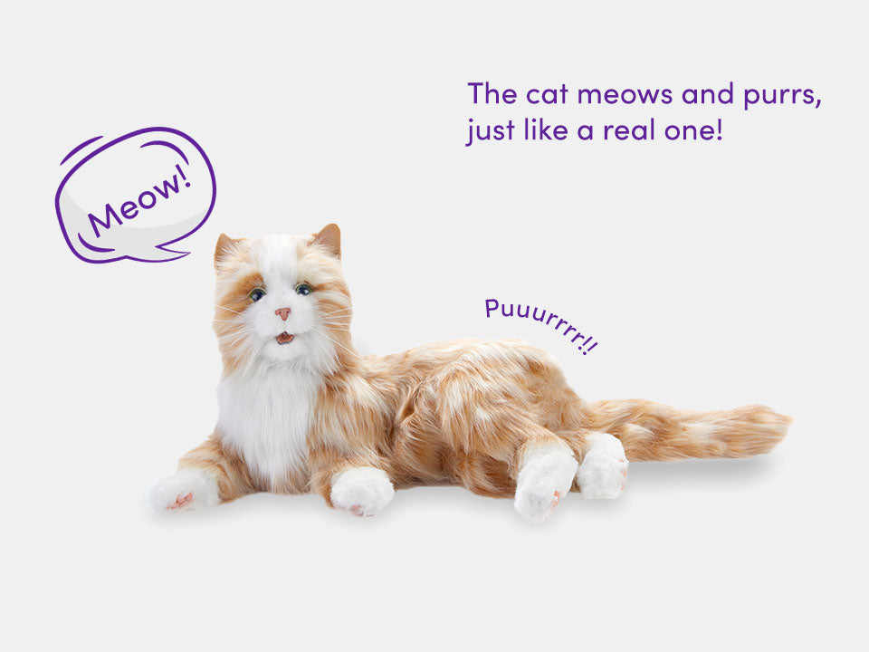 The orange Joy for All companion cat and its features including the sounds of purring and meowing.