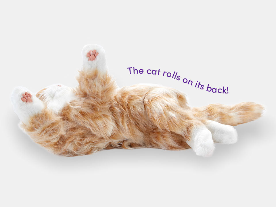 The orange Joy for All companion cat rolled on its back and showing its tummy for a rub.