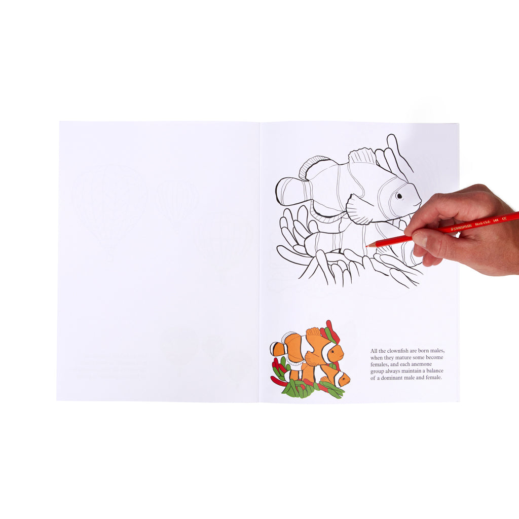Relish - Livre de coloriage