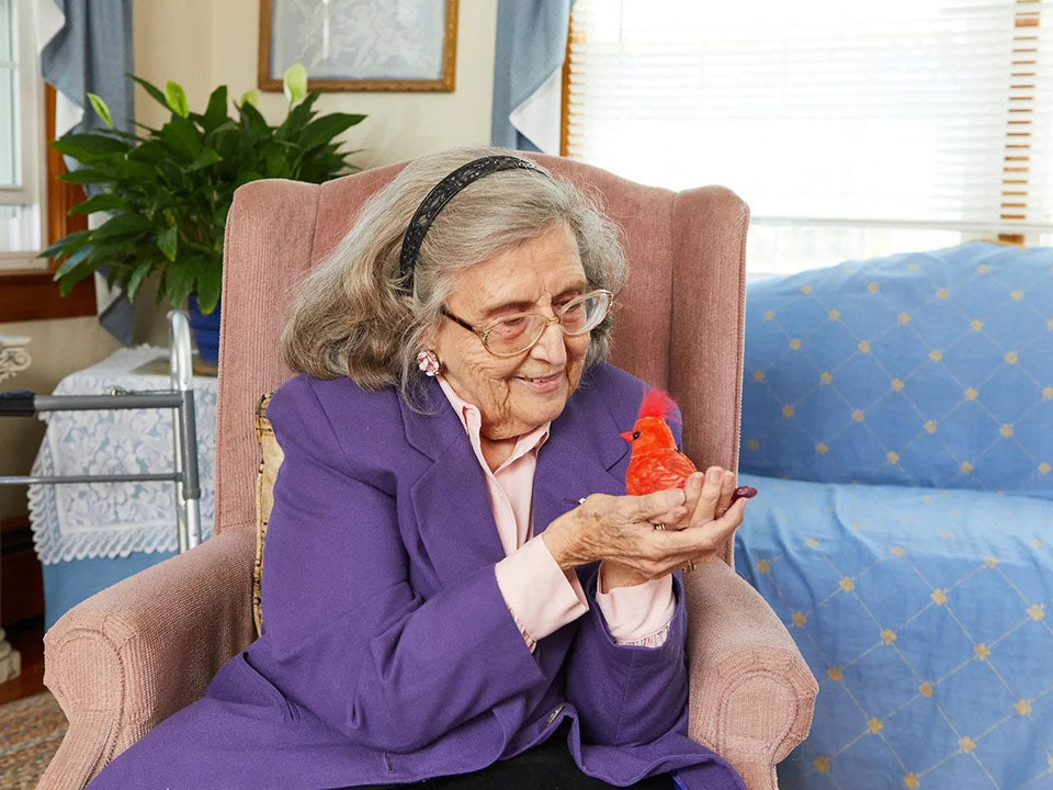 An older lady holding and interacting with the red cardinal walker squawker bird companion.