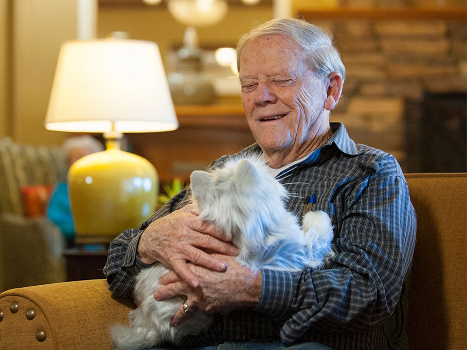 Elderly man sitting in a living room smiling and holding the silver Joy for All companion cat.