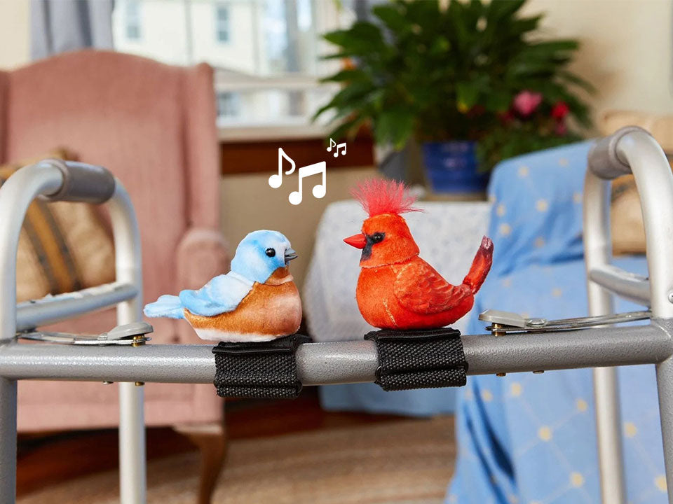 The two singing walker squawker birds, strapped to a walker to make movement more enjoyable.