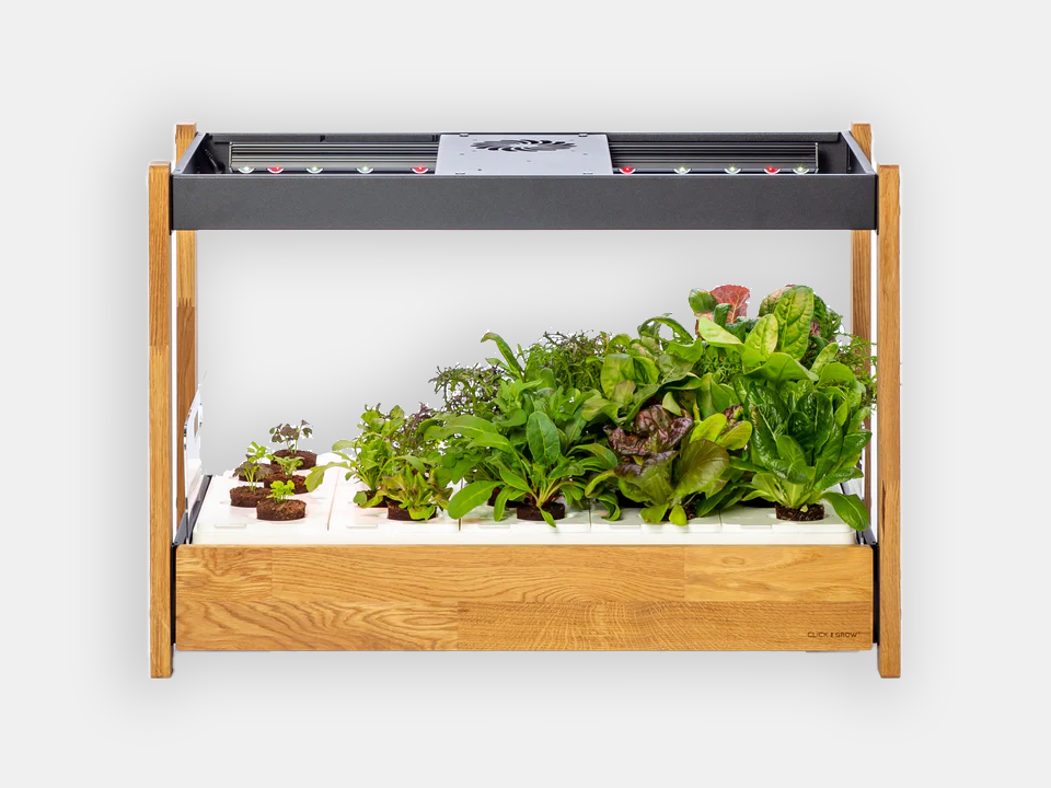 indoor plants enoggera The Click & Grow 25