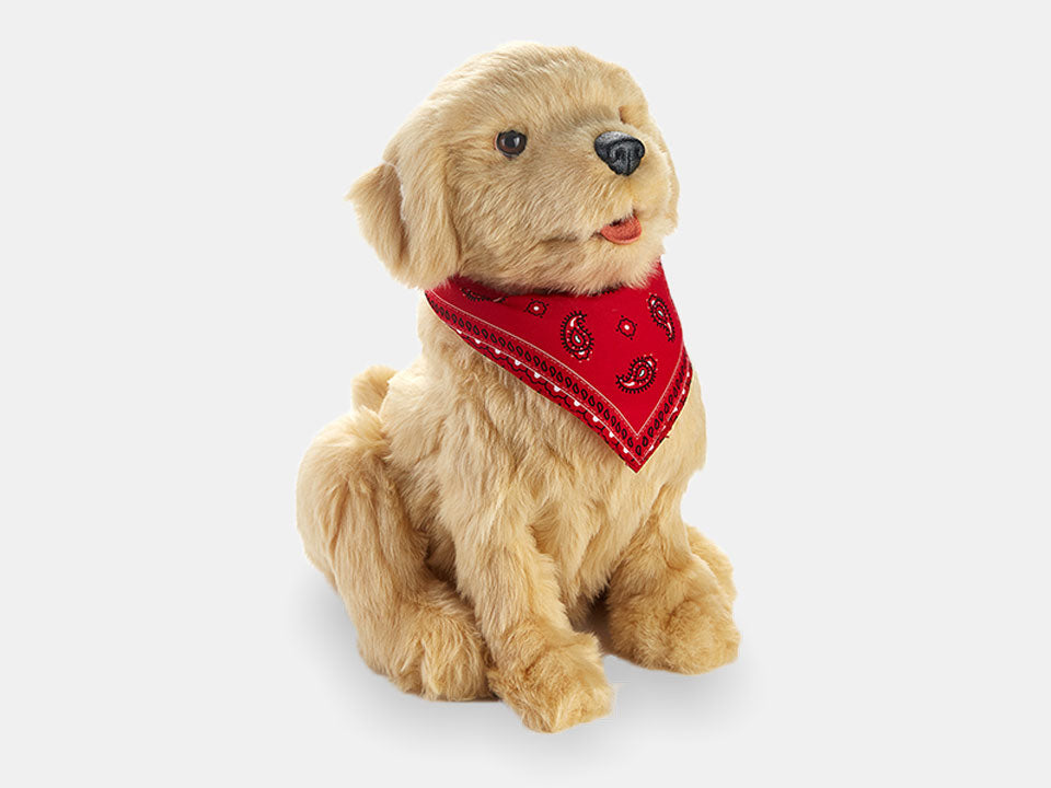 Golden Pup companion pet for people living with dementia.